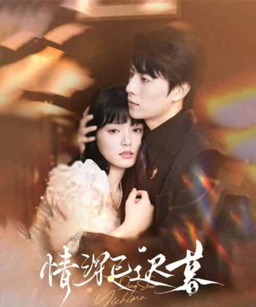 情深已迟暮 情深已迟暮