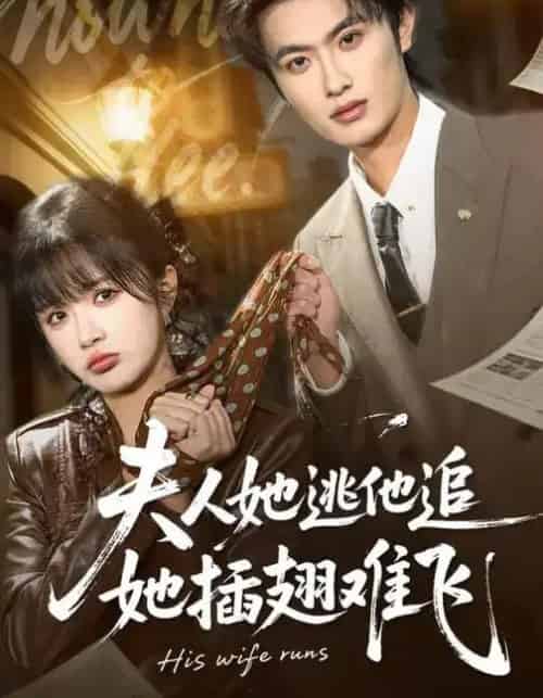 夫人她逃他追，她插翅难飞（101集全）孙嘉俊＆祁乐-海之城短剧项目