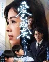 爱已成灰，陈小姐放手不再回头（30集全）胡宏林-海之城短剧项目