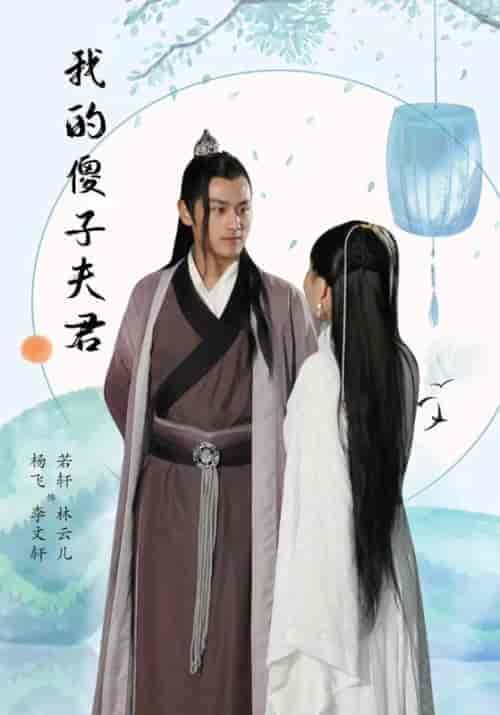 我的傻子夫君（23集全）李闻轩＆林云儿 - 海之城短剧