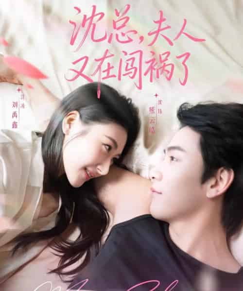 沈总，夫人又在闯祸了（79集全）熊云皓＆刘禹鑫-海之城短剧项目