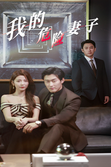 我的危险妻子（30集全） - 海之城短剧