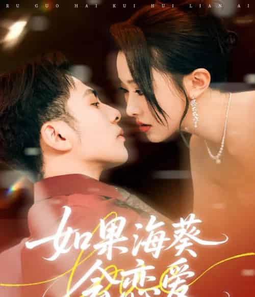 如果海葵会恋爱（58集）李可乐＆袁袆晴 - 海之城短剧