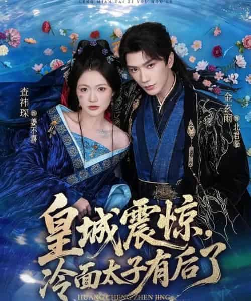 皇城震惊，冷面太子有后了（80集全）金玄雨＆查祎琛-海之城短剧项目