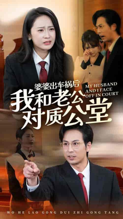 婆婆出车祸后我和老公对质公堂（35集全）王紫轩 - 海之城短剧