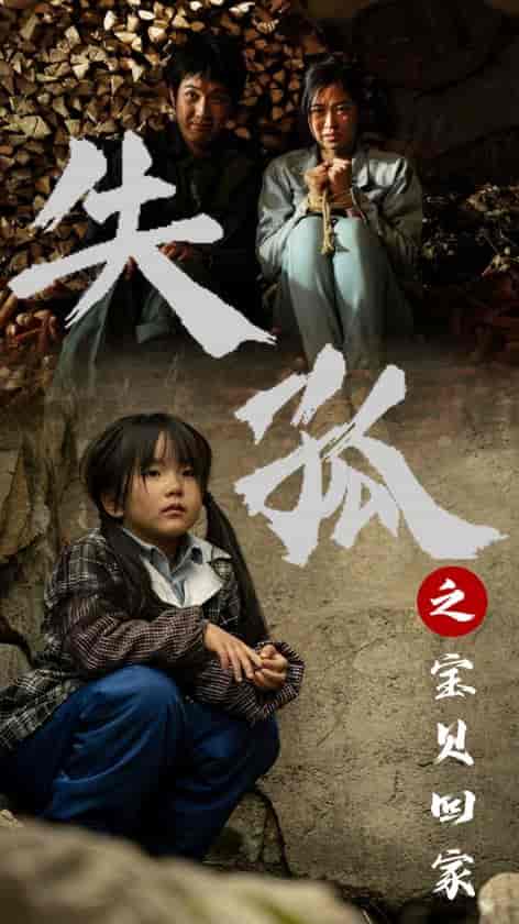 失孤之宝贝回家 失孤之宝贝回家
