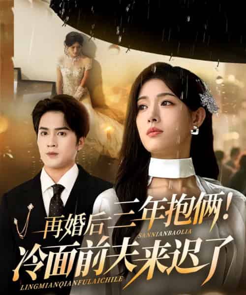 再婚后三年抱俩冷面前夫来迟了（63集全）周士超＆姜钰佳-海之城短剧项目