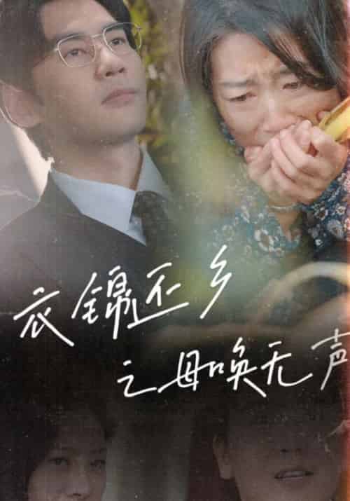 衣锦还乡之母唤无声（60集） - 海之城短剧