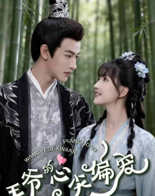 王爷的心尖偏宠（60集全）何雨洋＆高梦雅-海之城短剧项目