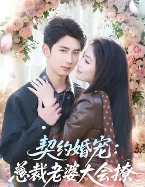 契约婚宠：总裁老婆太会撩（82集全）柳贯一＆骆虹宇-海之城短剧项目