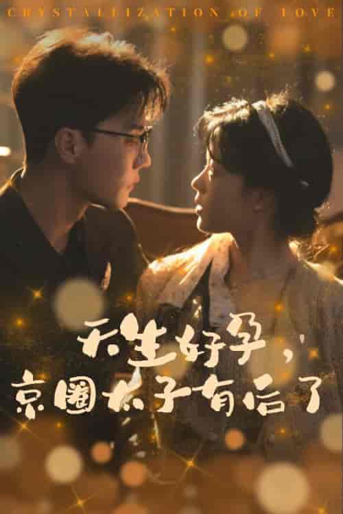 天生好孕京圈太子有后了＆你与光共落人间（30集全）杜亚飞 - 海之城短剧