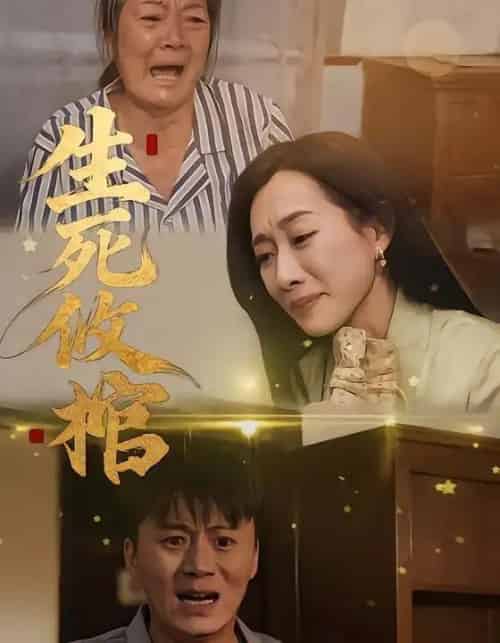 生死攸棺（52集全）戴金麟＆赵靖祎-海之城短剧项目