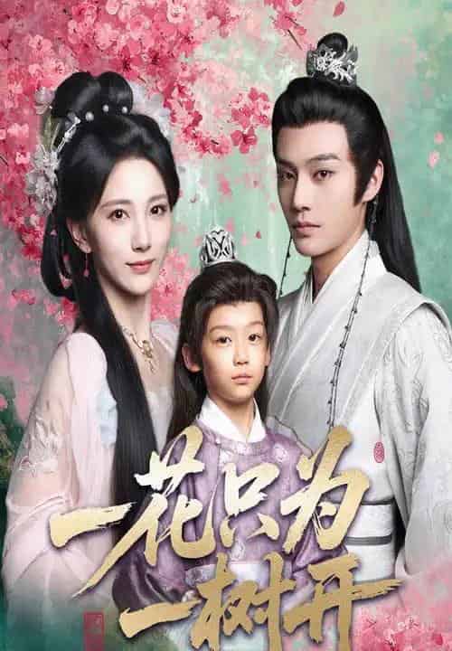 一花只为一树开（54集）柳甯＆高明君-海之城短剧项目