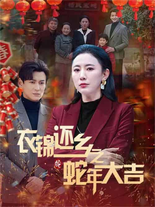 衣锦还乡之蛇年大吉（60集） - 海之城短剧