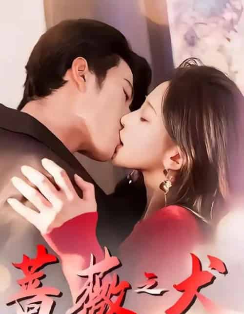 蔷薇之犬（60集全）齐宥澄＆韩录锦-海之城短剧项目