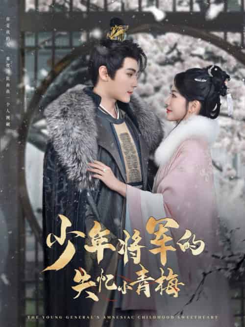 少年将军的失忆小青梅（100集全）赵垣又＆牛湘鹭 - 海之城短剧