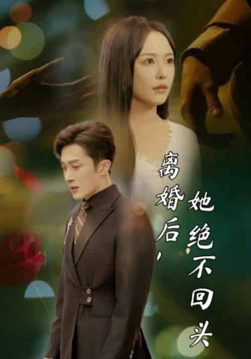 离婚后，她绝不回头（72集全）贺知礼＆江婉凝 - 海之城短剧