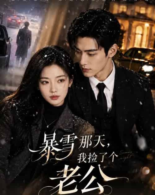 暴雪那天，我捡了个老公（58集全）AI-海之城短剧项目