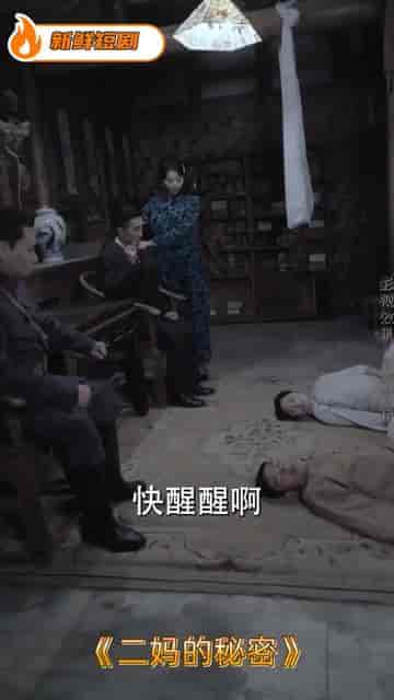 二妈的秘密（77集） - 海之城短剧
