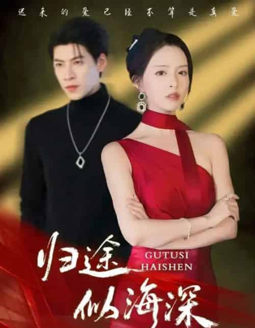 归途似海深（61集全）刘蔓莉＆王为洋-海之城短剧项目