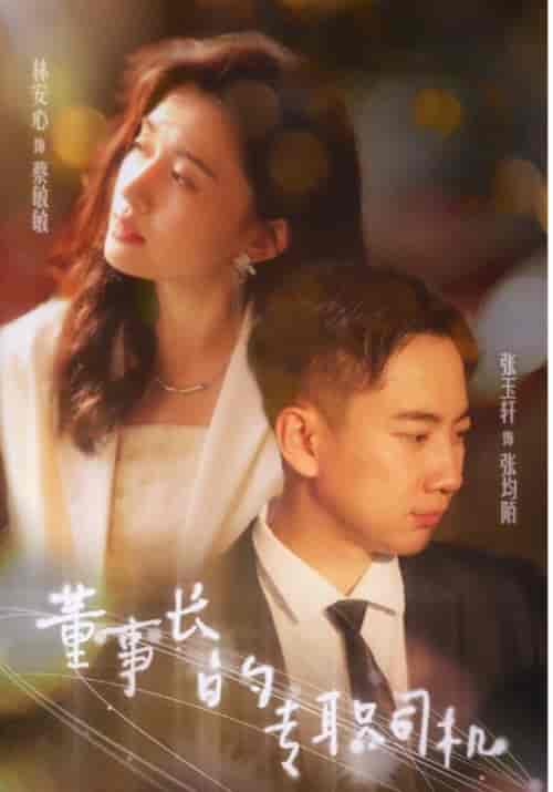 董事长的专职司机 董事长的专职司机