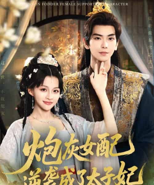 炮灰女配逆袭成了太子妃（82集）常斌＆赵飞雪 - 海之城短剧
