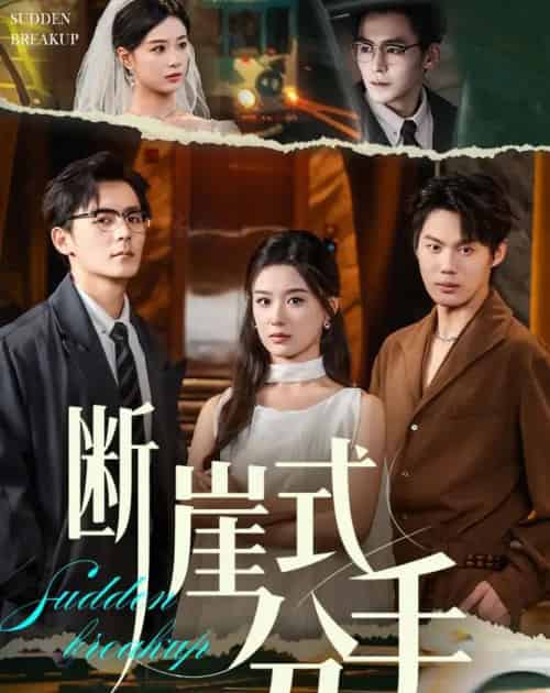 断崖式分手（63集全）余沛杉＆王宇婧 - 海之城短剧