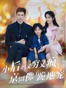 小后妈又穷又疯京圈佛子跪地宠（102集全）岳雨婷 - 海之城短剧