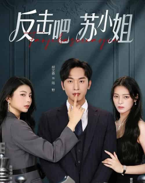 反击吧！苏小姐（63集全）曹若彤＆胡文森-海之城短剧项目