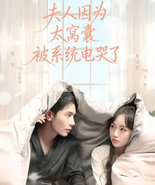 夫人因为太窝囊被系统电哭了（77集全）杜梵＆席文君-海之城短剧项目