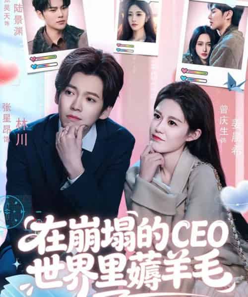 在崩塌的CEO世界里薅羊毛（70集全）张星昂＆曾庆生-海之城短剧项目