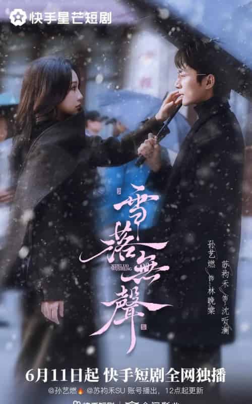 雪落无声（20集全）苏袀禾＆孙艺燃-海之城短剧项目