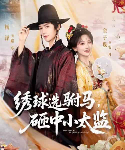 绣球选驸马，砸中小太监（81集全）杨泽＆金子璇-海之城短剧项目