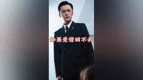 如果爱情回不去（71集） - 海之城短剧