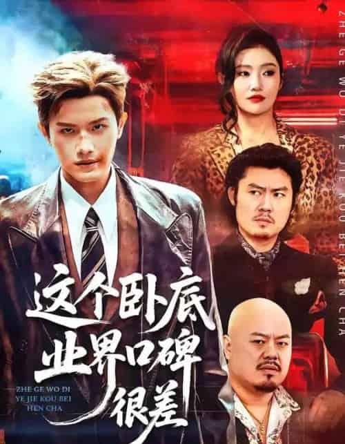 这个卧底业界口碑很差（84集全）王宇峰＆骆虹宇-海之城短剧项目