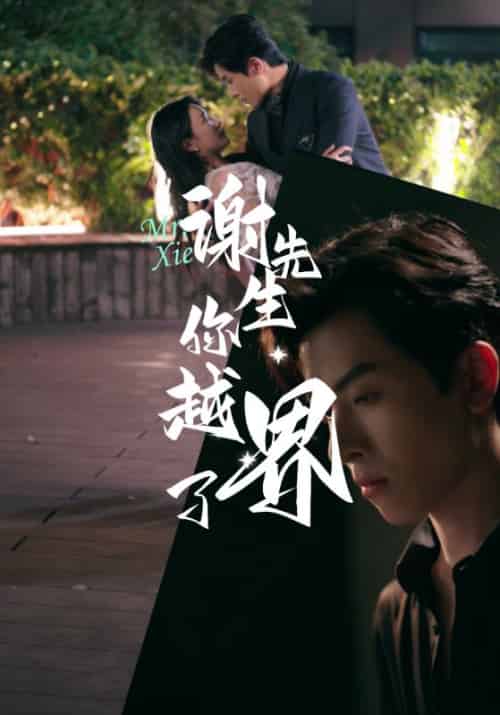 谢先生你越界了（38集全）谢瑾之＆叶可妮 - 海之城短剧