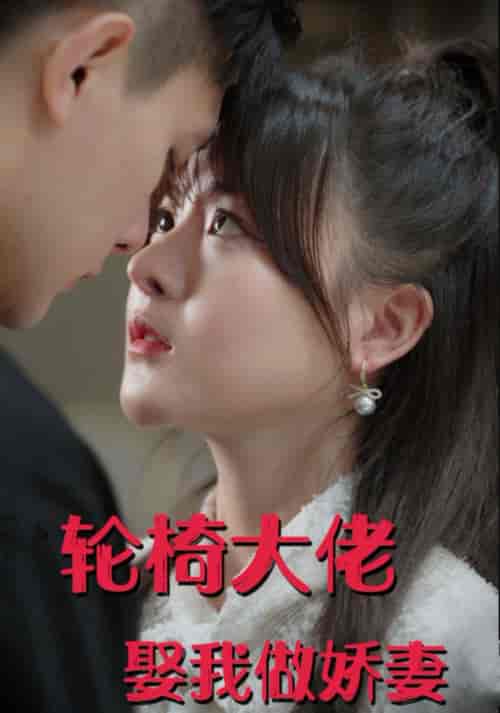 轮椅大佬娶我做娇妻（100集全）朱信宗＆杨晨 - 海之城短剧