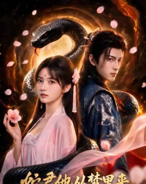 蛇君他从梦里来（65集全）AI-海之城短剧项目