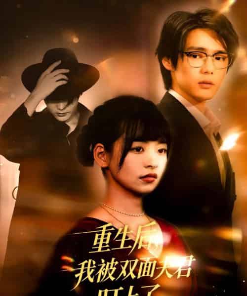 重生后，我被双面夫君盯上了   共60集-海之城短剧项目