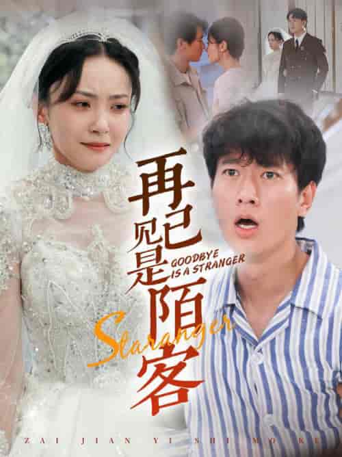 再见已是陌客＆归来的星光（55集全）张子安 - 海之城短剧