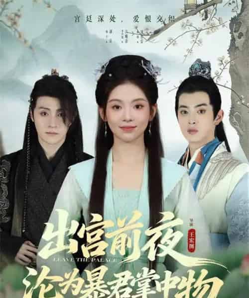 出宫前夜沦为暴君掌中物（57集全）李汐溦＆强宇-海之城短剧项目