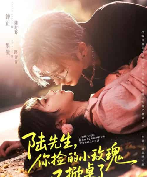 陆先生，你捡的小玫瑰又掀桌了（74集全）钟正＆墨凝-海之城短剧项目