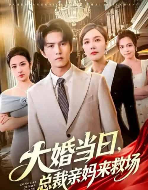 大婚当日，总裁亲妈来救场（81集全）梅瑞滢＆莫书铭＆李梦泽-海之城短剧项目