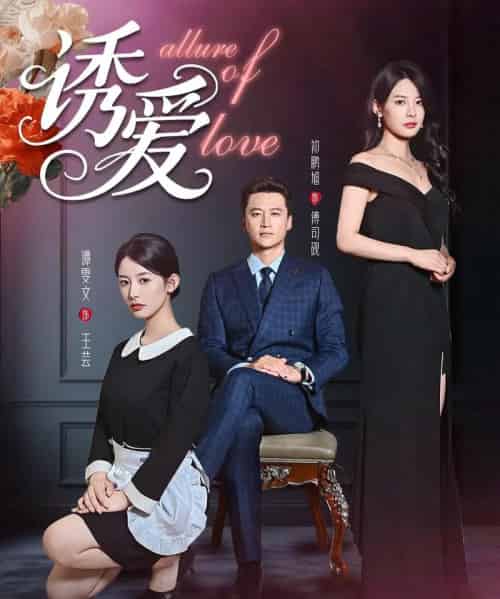 诱爱（67集）谭雯文-海之城短剧项目