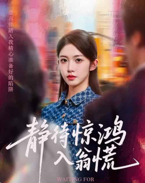 静待惊鸿入翁慌 静待惊鸿入翁慌