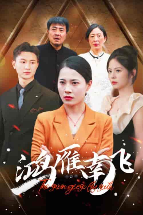 鸿雁南飞（64集） - 海之城短剧