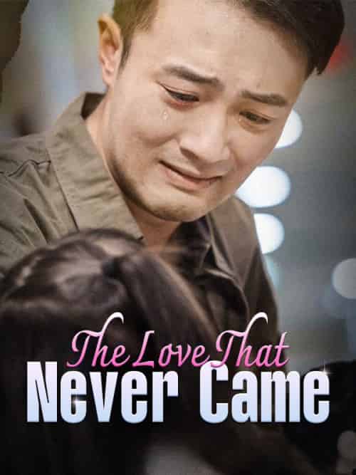 The Love That Never Came The Love That Never Came