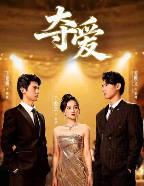 夺爱（55集全）丁俊杰＆姜焕文-海之城短剧项目