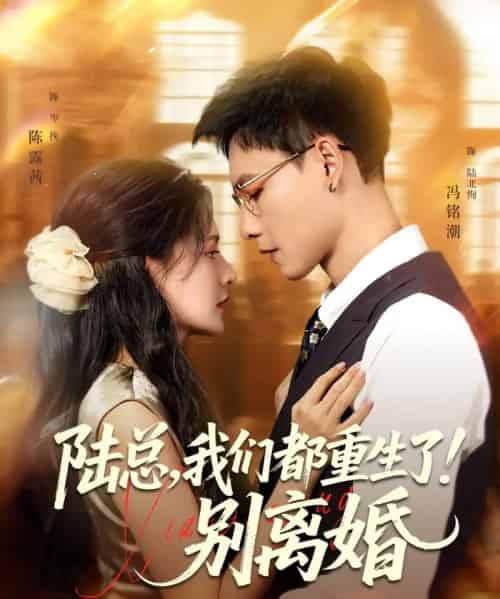 陆总，我们都重生了！别离婚（79集）冯铭潮＆陈露茜 - 海之城短剧