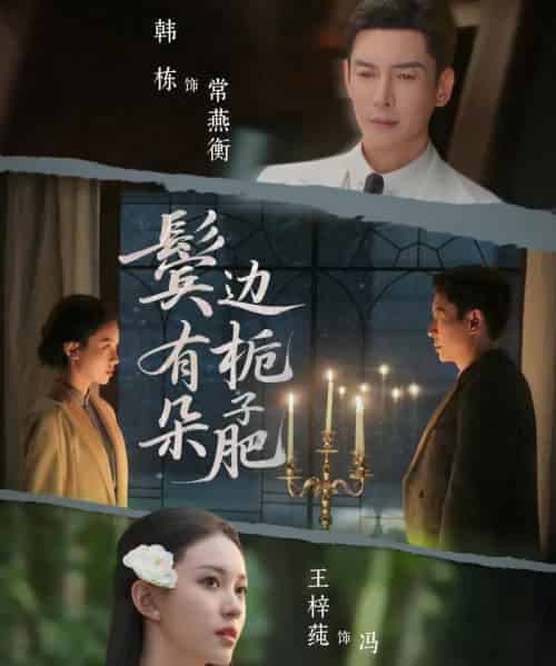 鬓边有朵栀子肥（72集全）韩栋＆王梓莼-海之城短剧项目